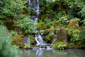 Japanese Garden koi pond