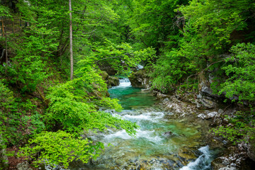 Fototapeta na wymiar Waterfall Sum at Bled Vintgar gorge, Slovenia
