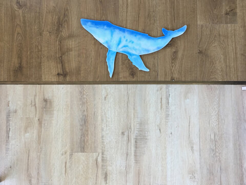 backdrop for the text with the silhouetteof a whale