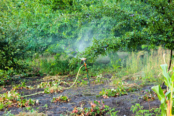 water sprinkler in garden