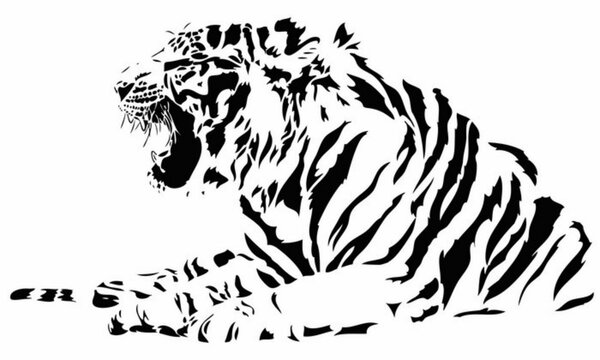 tiger on a black background