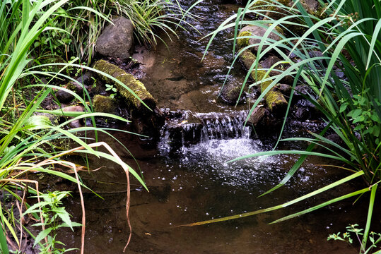 Chute d'eau du qu&eacute;bec