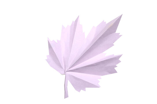 A purple fall origami leaf isolated white