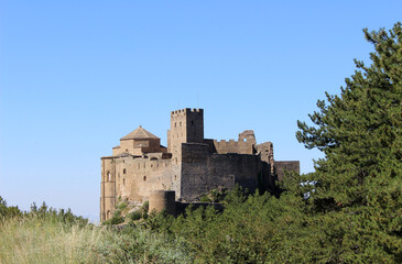 Fototapeta na wymiar Landscape of Loarre Castle, romanesque castle located in Loarre (Huesca, Spain)