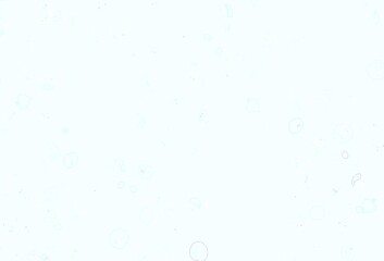 Light Blue, Yellow vector background with cuisine gourmet.