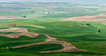 A view in the spring from Steptoe butte in the Palouse region of eastern Washington of rolling hills, farms, wheat storage facilities, and wheat land