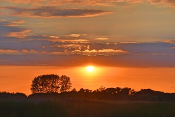 Zachód słońca na rozlewiskach Biebrzy. Biebrzański Park Narodowy 3 miesiące po pożarze