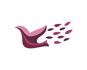 Bird colorful modern minimal style illustration. Creative icon logo splash concept explosion with drops. Vision logo emblem symbol logotype