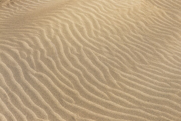 Fototapeta na wymiar sand dunes texture background