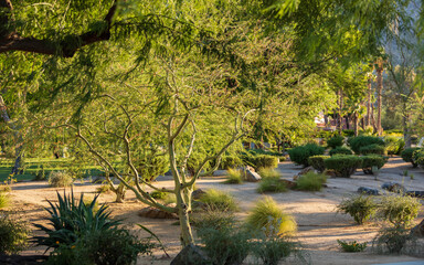 A bright day in the park