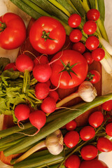 fresh radish beef tomatoe vine tomatoe garlic and leek on wooden board