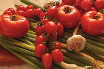 tomatoe garlic radish and leek on wooden board