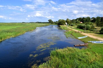 Rozkwit przyrody na rozlewiskach Biebrzy w Goniądzu. Biebrzański Park Narodowy 3 miesiące po pożarze © Albin Marciniak