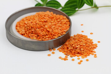 Uncooked red lentils in aluminium dish on white surface
