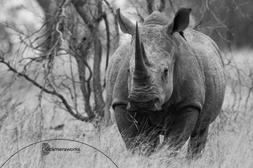 Zelfklevend Fotobehang rhino in the wild © DG CameraWorks