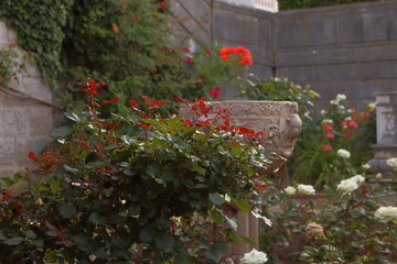 The territory of the Livadia Palace. Crimea