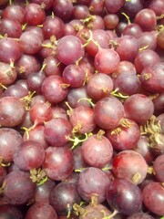 ripe red gooseberry berries close-up