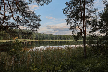 sunset on lake at forest countryside 