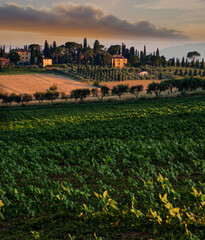 Under the Tuscan cloud