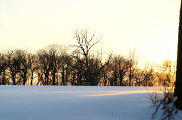 sunset in winter