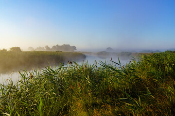 Letni poranek z mgłami w Dolinie Narwi,Podlasie ,Polska © podlaski49