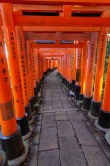 Red toriis in Fushimi near Kyoto (Japan)