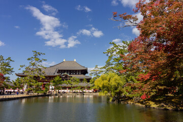 Fototapeta na wymiar Gardens of Nara near Kyoto (Japan)