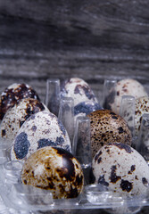 Healthy or broken quail eggs next to each other regularly or irregularly