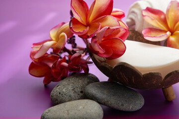 Fototapeta na wymiar handmade coconut shell soap dish