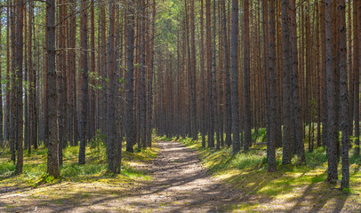Lahemaa National Park, Estonia,. The largest park in Estonia. It was the first national park of the former Soviet Union.