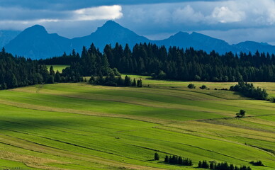 Fototapeta na wymiar The view of Tatras from Majerz pasture. Pieniny National Park. Czorsztyn. Poland
