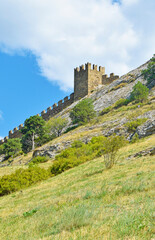 Fototapeta na wymiar View of the stone fortress on the green rock