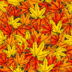 Seamless pattern of autumn maple leaves yellow, red and orange. Foliage of deciduous tree lying on ground. Fall season leafage randomly placed. For tablecloth, wallpaper, scrapbooking 