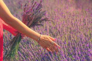 Woman's hand with purple manicure softly touching lavender flowers at sunset. Romantic warm sunshine