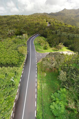 Aerial view of beautiful island forest and road