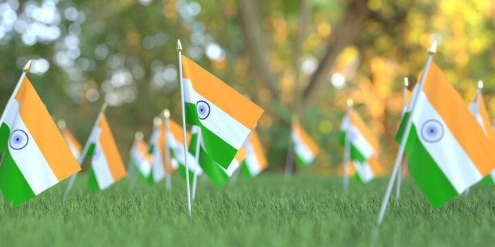 Flags of India in the grass. National holiday related 3D rendering