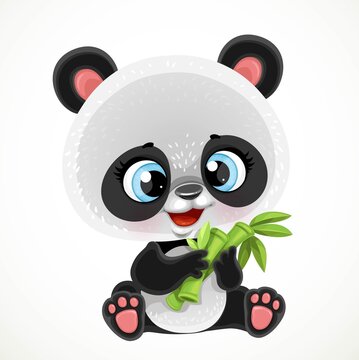 Cute cartoon baby panda bear eating bamboo isolated on a white background