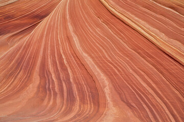 The Wave at Coyote Buttes, Arizona