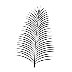 black silhouette date palm leaf. vector icon