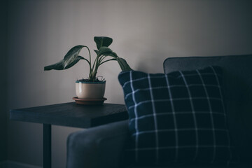 interior of a modern living room