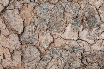 dry and cracked soil crust