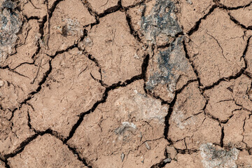 dry and cracked soil crust