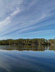 Beautiful view of a river with reflections of blue sky, light clouds and trees on water, Parramatta river, Rydalmere, New South Wales, Australia