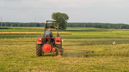 Obraz premium Tractor in the field is cutting the grass. In the background a stork.