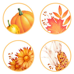 Autumn round labels with colorful indian corns, leaves, pumpkins and chrysanthemum. Seasonal watercolor illustration.