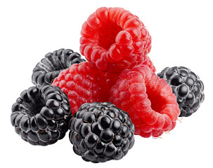 wild berries, raspberry, blackberriy isolated on white background, clipping path, full depth of...