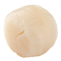 scallop isolated on white background, clipping path, full depth of field