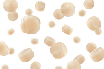 Falling scallop isolated on white background, selective focus