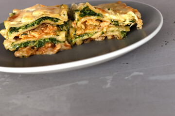 a piece of lasagna in a plate on a gray background