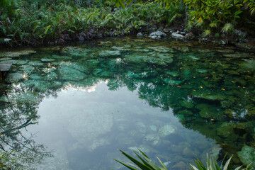 Magical environment. Emerald color water cenote with a rocky bed, in the jungle.